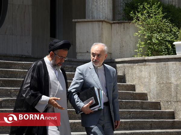 در حاشیه جلسه هیات دولت