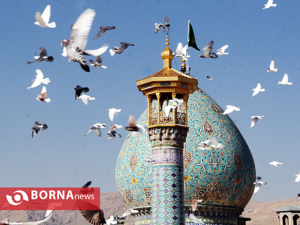 افتتاح کبوترخانه شاهچراغ(ع)