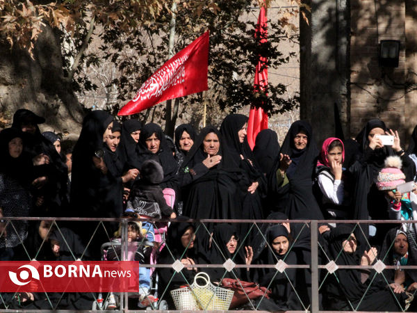 بزرگترین گردهمایی عزاداران رضوی فارس در شهرستان بوانات