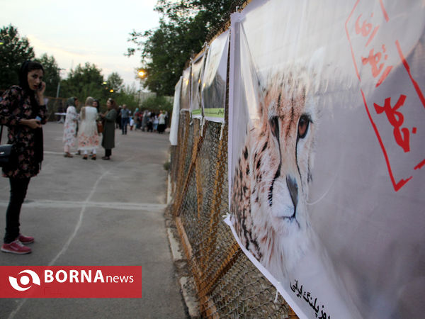 گرامیداشت روز ملی یوزپلنگ ایرانی در شیراز