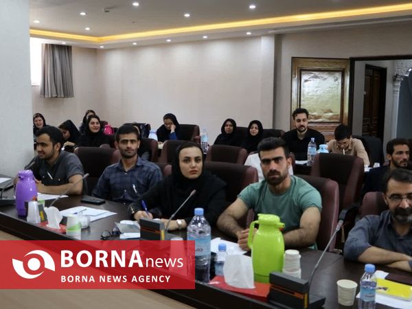 برگزاری چهاردهمین رویداد ملی همنا در استان کردستان