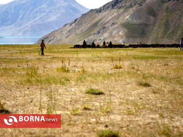 بازدید استاندار تهران از مناطق عشایری دشت لار