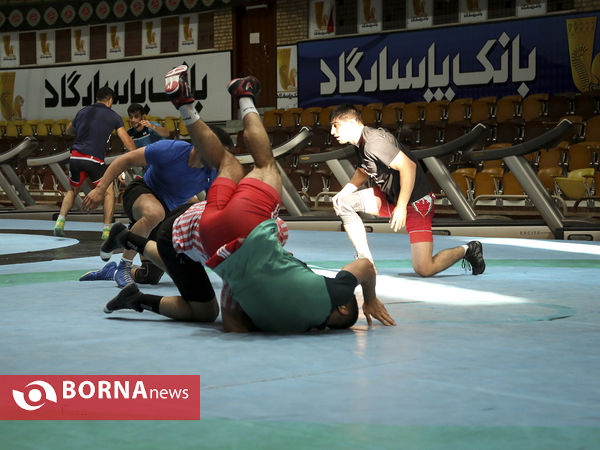 بازدید وزیر ورزش و جوانان از تمرینات تیم های ملی کشتی و وزنه برداری