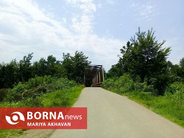 پاشاکی روستایی در شرق استان گیلان