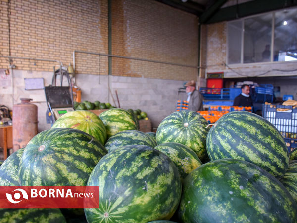 میدان میوه و تره بار در روزهای پایانی سال
