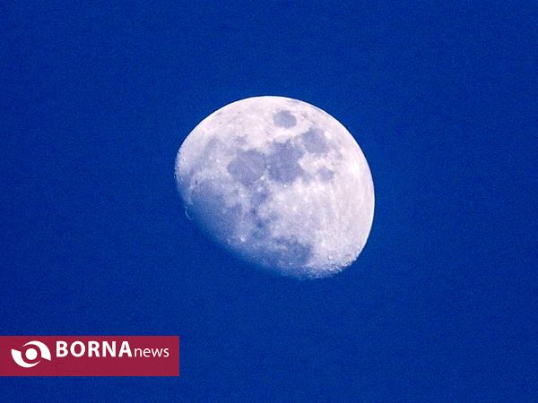 دیدار تیم های سایپا - پرسپولیس
