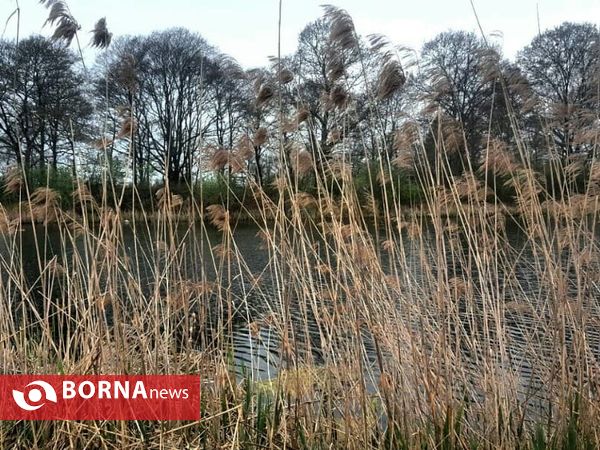 تالاب حاجی آباد لاهیجان