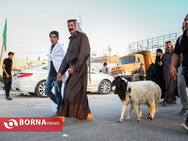 زائران اربعین حسینی در مسیر نجف به کربلا