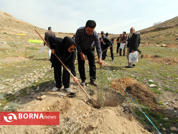آیین هفته درختکاری در شیراز