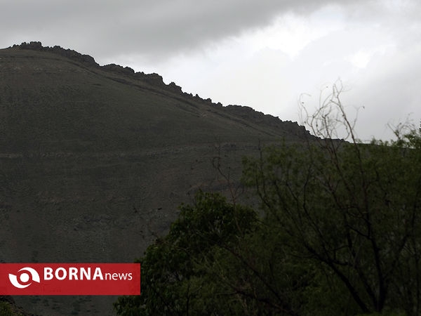 گردشگری در هفته جوان