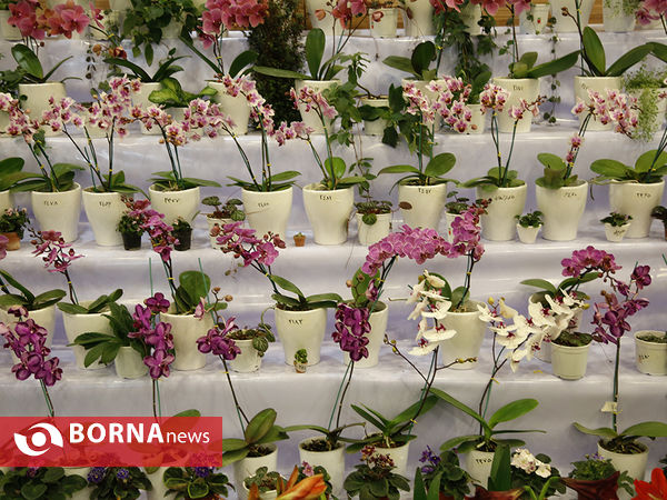 شانزدهمین نمایشگاه بین المللی گل و گیاه تهران