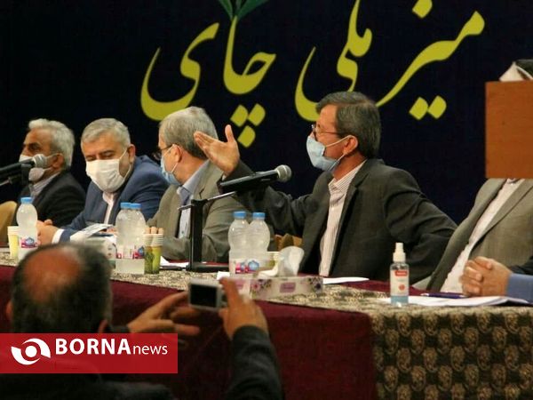 میزملی چای _ لاهیجان