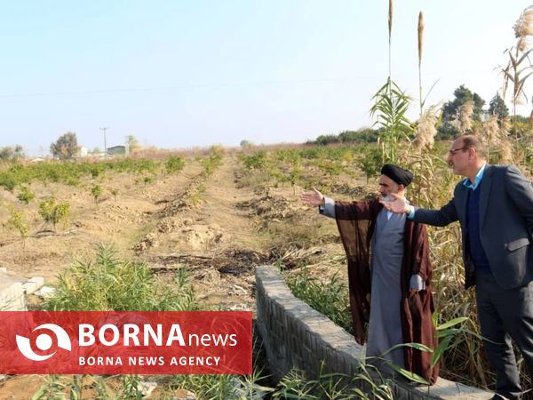 بازدید از ساخت و سازهای غیرمجاز در نوار ساحلی گهرباران