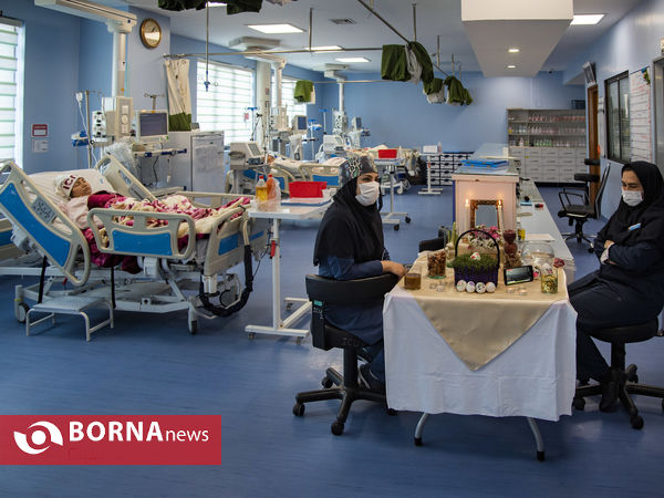 هفت سین در بیمارستان های قم