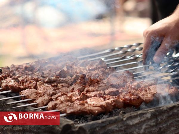 روز طبیعت در بندرانزلی