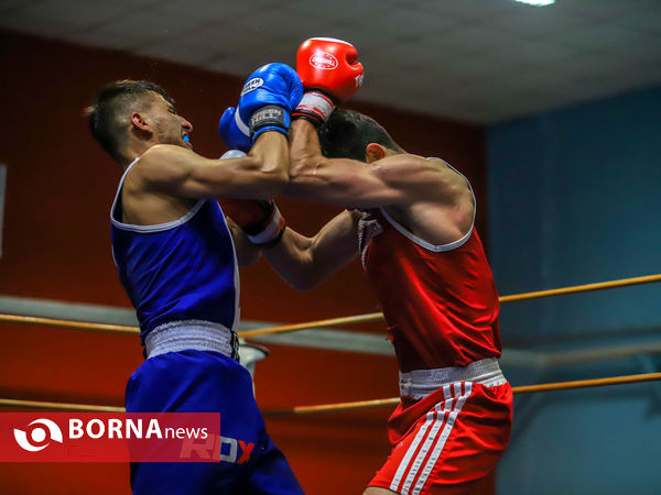 مسابقات بوکس قهرمانی بزرگسالان استان مرکزی