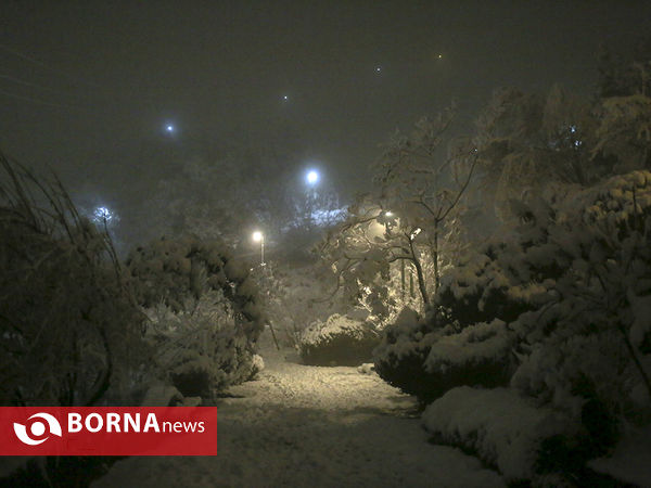 اولین برف زمستانی تهران