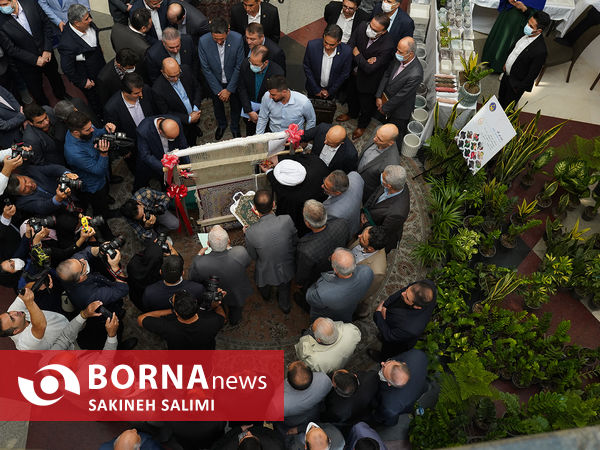 تقدیر از بانک‌های عامل در پرداخت تسهیلات اشتغال به مددجویان