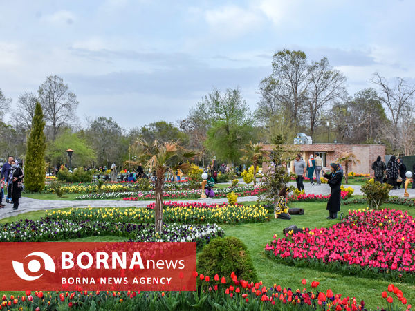 جشنواره گل‌های لاله در اراک