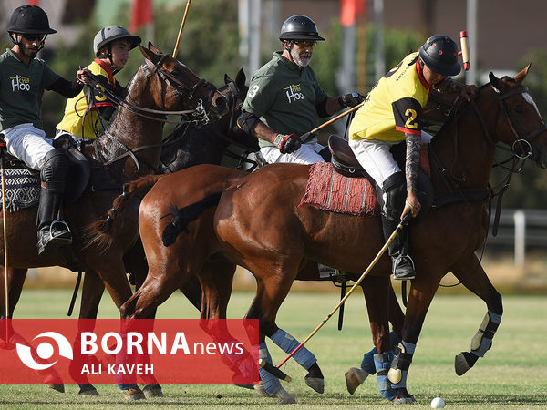 لیگ  ملی چوگان