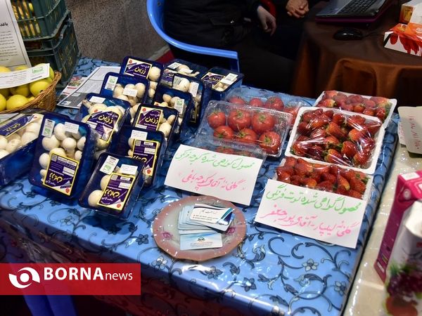 دوازدهمین نمایشگاه بین المللی کشاورزی ارومیه