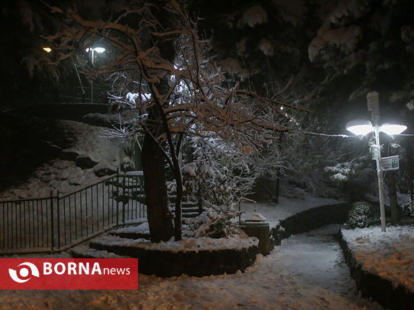 اولین برف زمستانی تهران
