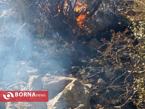 آتش سوزی در جنگل های پاسارگاد