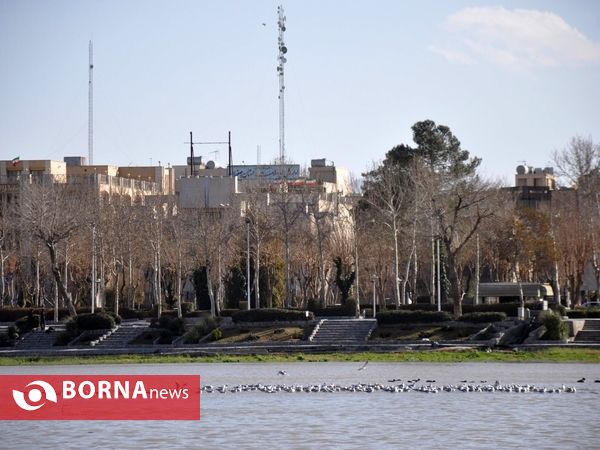 جاری شدن آب در زاینده روز