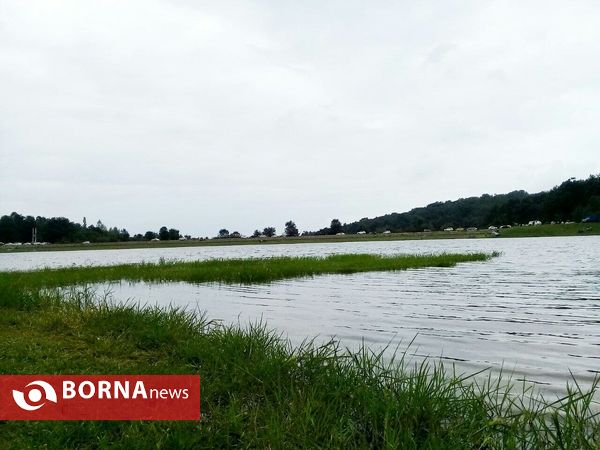 چشم اندازی از طبیعت گیلان _ شهریور 1400