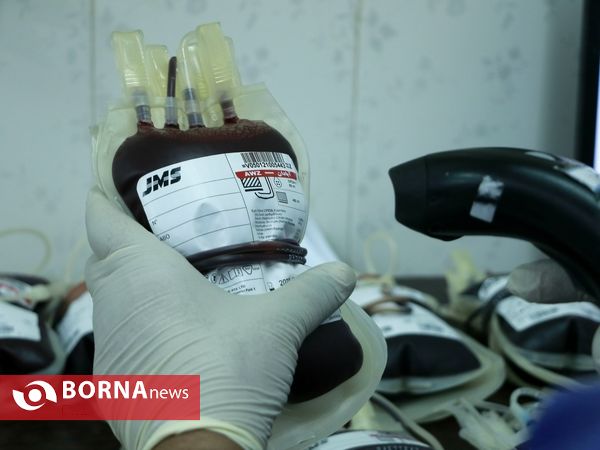 نذر خون در شب های قدر