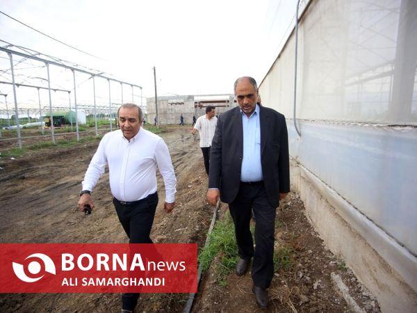 بازدید وزیر جهاد کشاورزی از ظرفیت های کشاورزی و شیلاتی بندرانزلی