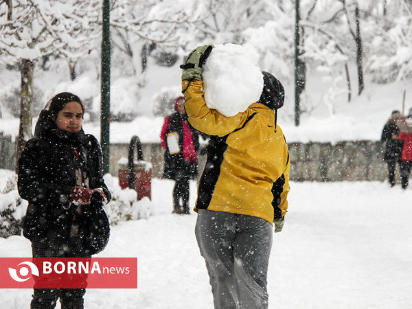 بارش برف در تهران