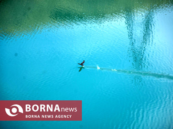 آخرین وضعیت سد «کمال‌ صالح» - شازند