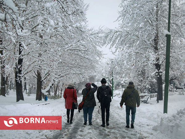 بارش برف در تهران-۴