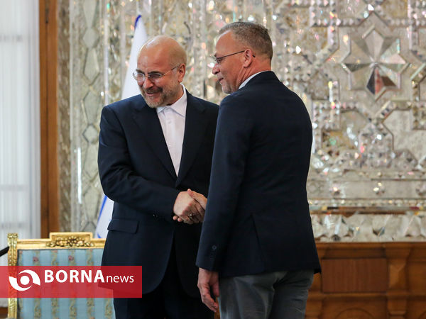 دیدار رئیس گروه دوستی پارلمانی کرواسی - ایران با رییس مجلس