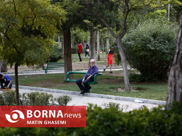 دور همی سالمندان تهران با عنوان "یاد ایام"