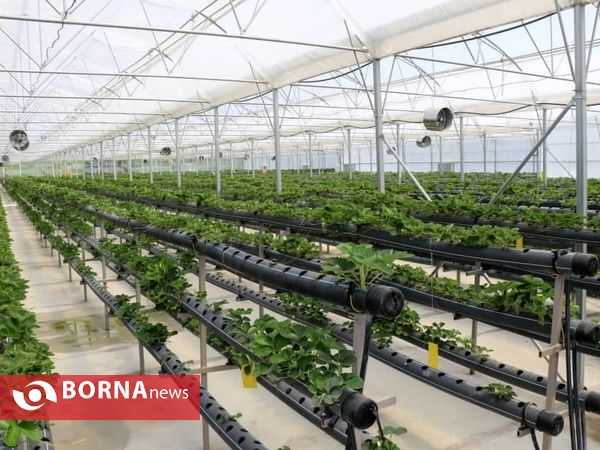 بازدید مسئولین استانی آذربایجان‌غربی از پروژه‌های شهر سرو