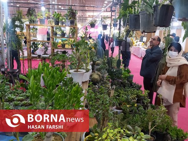 نمایشگاه فروش بهاره