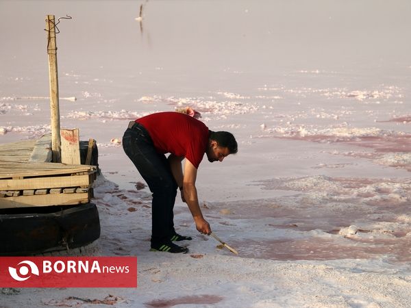 دریاچه مهارلو- سروستان