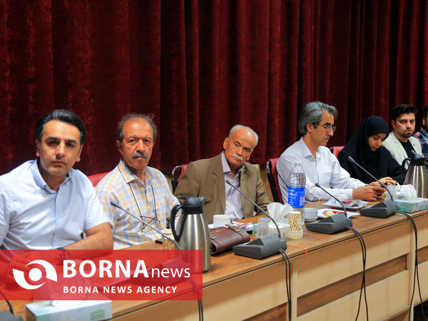 دیدار صمیمی رئیس هیات شنا، شیرجه و واترپلوی خراسان رضوی با خبرنگاران 