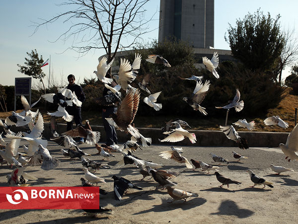 در حاشیه جشنواره فیلم فجر