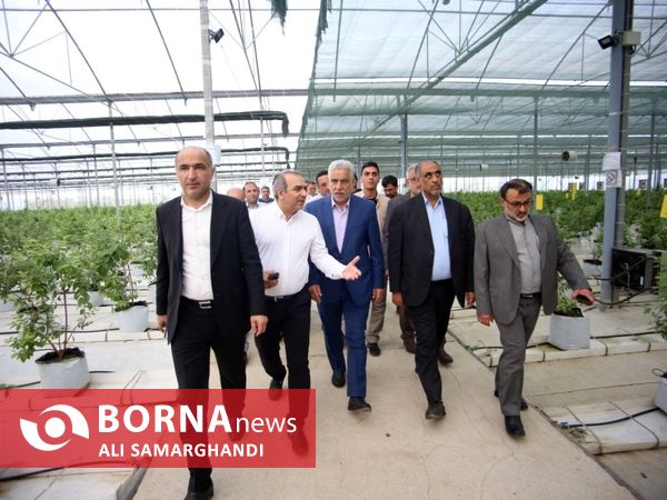 بازدید وزیر جهاد کشاورزی از ظرفیت های کشاورزی و شیلاتی بندرانزلی