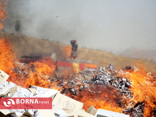 امحای 33 میلیون نخ سیگار قاچاق در شیراز