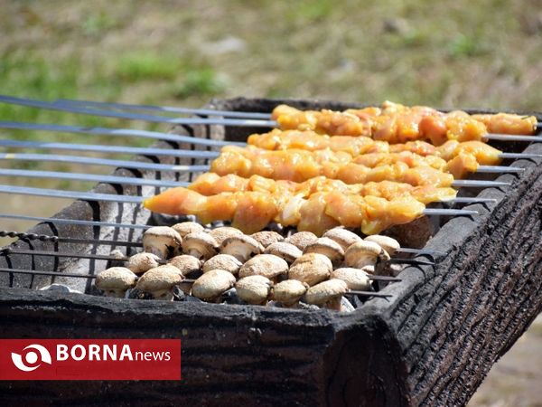 ۱۳ بدر در منطقه آزاد انزلی