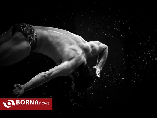 فینال لیگ شیرجه قهرمانی کشور