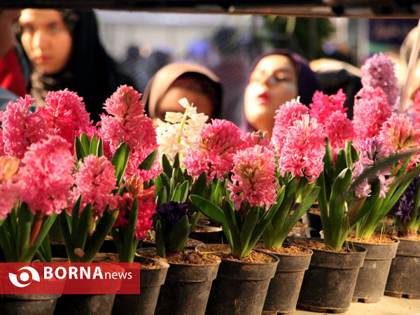 نمایشگاه گل و گیاه-شیراز