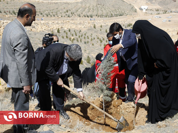 آیین روز درختکاری در شیراز