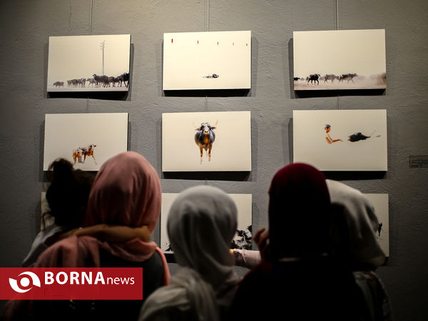 افتتاحيه نمايشگاه گروهی عكس - مونولوگ