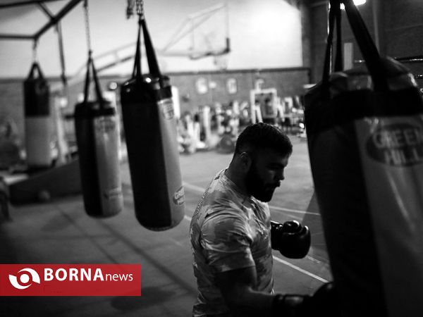 امیر علی اکبری قهرمان رشته MMA