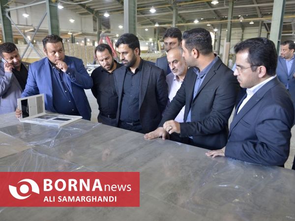 بازدید معاون وزیر صمت از منطقه آزاد انزلی